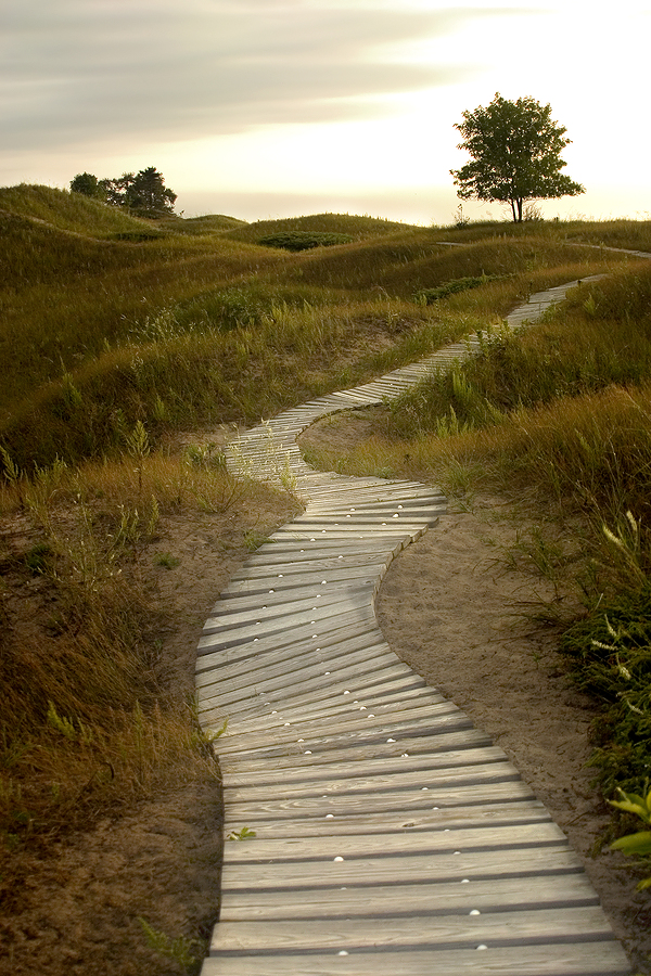 The Spiritual Path